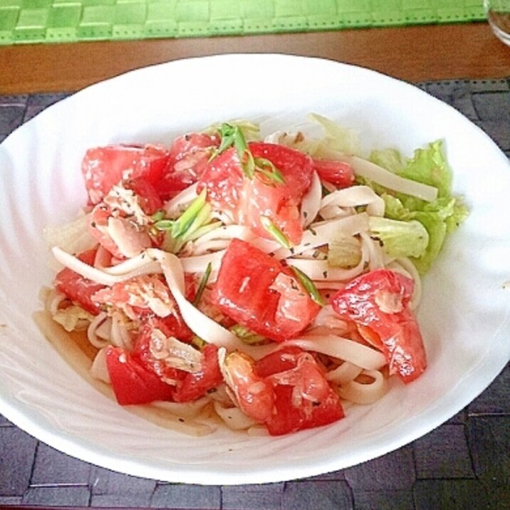 暑い夏にさっぱり！トマトとツナのパスタ風きしめん